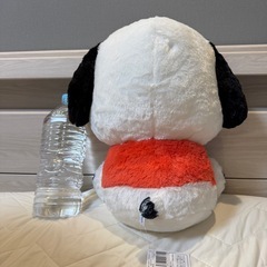 【美品】ポチャッコ　大きめぬいぐるみ✨お子様・インテリアにも🐻の画像