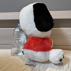 【美品】ポチャッコ　大きめぬいぐるみ✨お子様・インテリアにも🐻の画像