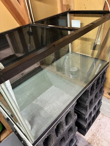 900水槽　熱帯魚　金魚