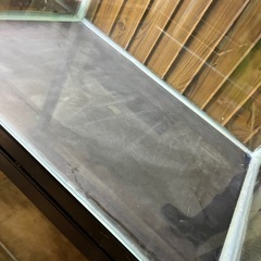 600ワイド水槽　金魚　熱帯魚の画像