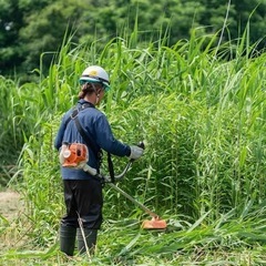 三股町の一軒家の草刈りしてくださる方