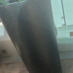 高級陶器鉢カバー　東京堂にて購入　
の画像