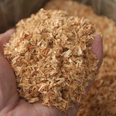 ２０２４年もの 国産100％広葉樹おが粉オガ粉　一斗缶入りの画像