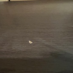 【11/5.6.7引取限定】ニトリ　パソコンデスクの画像