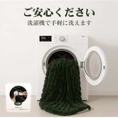 【新品未使用】電気毛布 ひざ掛け グリーン 電気ブランケット 170×130cm PSE認証 5段温度調節 切タイマー 丸洗い可能 の画像