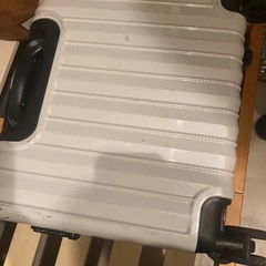 (受け渡し予定決定)キャリーバッグの画像