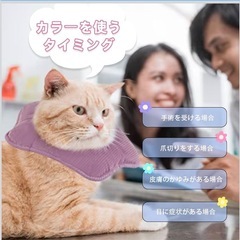 【新品】やわらか 星型 エリザベスカラー 猫 小型犬 食事OK フランネル素材の画像