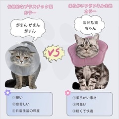 【新品】やわらか 星型 エリザベスカラー 猫 小型犬 食事OK フランネル素材の画像