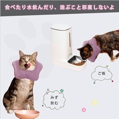 【新品】やわらか 星型 エリザベスカラー 猫 小型犬 食事OK フランネル素材の画像