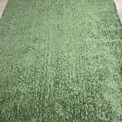 ニトリ　カーペット　じゅうたんの画像