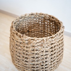 観葉植物　フィカス アルテシマ 160cm  インテリア　鉢付き　の画像