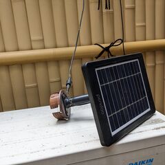 ソーラーライト一つで3灯が点灯する。　青銅の灯篭を照らしていました。　直近は2点灯のみかも？　の画像