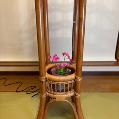K A Z A M A(カザマ)のラタン製フロアスタンドの画像