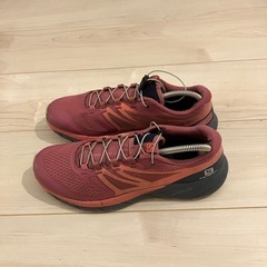 サロモンの画像