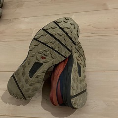 サロモンの画像