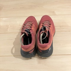 サロモンの画像