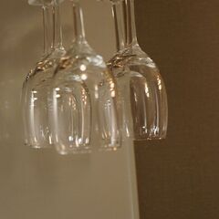 ワイングラスぶら下げ器具　吊戸棚下部に差込みして設置します。の画像