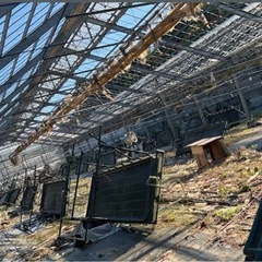 差し上げます　
水耕栽培パレットの画像