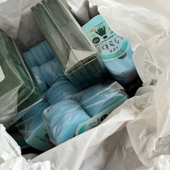 ＮＶ１３　画像全て　他メダカ用品　メダカの画像