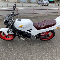 vtz250実働の画像