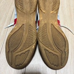 ミズノ　フットサルシューズ モナルシーダ　3回使用の画像