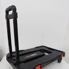 BIGANT （ビッグ アント）折りたた み式コンテナの画像