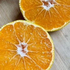【1名様限定】🍊5kg☆早生みかん☆無農薬☆訳あり家庭用☆サイズ混合☆の画像