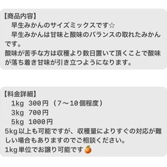 【1名様限定】🍊5kg☆早生みかん☆無農薬☆訳あり家庭用☆サイズ混合☆の画像