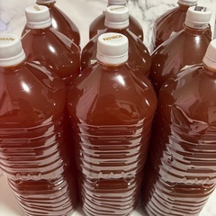 メダカ、残り７本です㊗️601冬⛄️支度‼️の画像