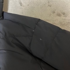 workmanフュージョンダウンsSの画像