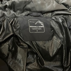 workmanフュージョンダウンsSの画像