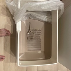 キャットタワー、猫トイレ
の画像