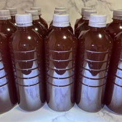 メダカ、残り11本です！の画像