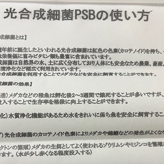 メダカ、残り11本です！の画像
