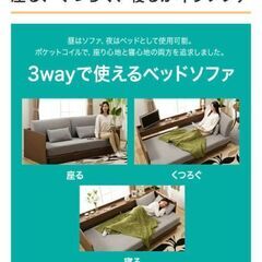 ニトリ　ソファーベット　(マットレス除く)の画像