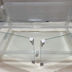 グラスハーモニー600マルチの画像