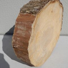 銀杏の輪切り　まな板　盆栽等の台座　キャンプ等の薪割り台等に　DIY等にの画像