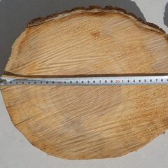 銀杏の輪切り　まな板　盆栽等の台座　キャンプ等の薪割り台等に　DIY等にの画像