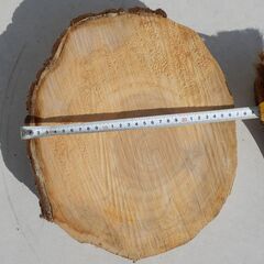 銀杏の輪切り　まな板　盆栽等の台座　キャンプ等の薪割り台等に　DIY等にの画像