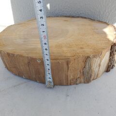 銀杏の輪切り　まな板　盆栽等の台座　キャンプ等の薪割り台等に　DIY等にの画像