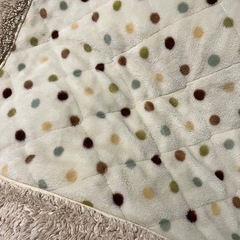 こたつ布団の画像