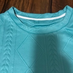 鮮やかなグリーン系の秋、春用の長袖トップスの画像