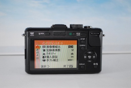 LUMIX DMC-GF1 レンズキット ミラーレス 即撮影可　美品