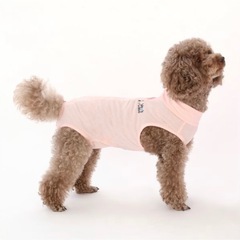 新品⭐︎Vet's Labo ベッツウェアSサイズ　犬用エリザベスウェア　術後服の画像