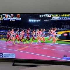 【大画面】49型Panasonicテレビ
VIERAの画像