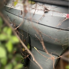 佐賀発 ヤマハ2スト115馬力🐴動作未確認 取りに来てくれる人を優先します‼️の画像