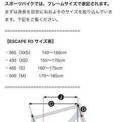 GIANT escape Mサイズの画像