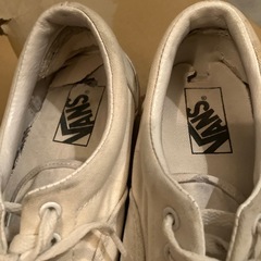 vans スニーカーの画像
