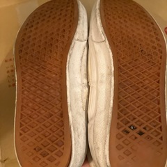 vans スニーカーの画像