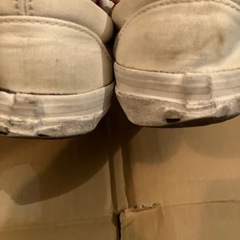 vans スニーカーの画像